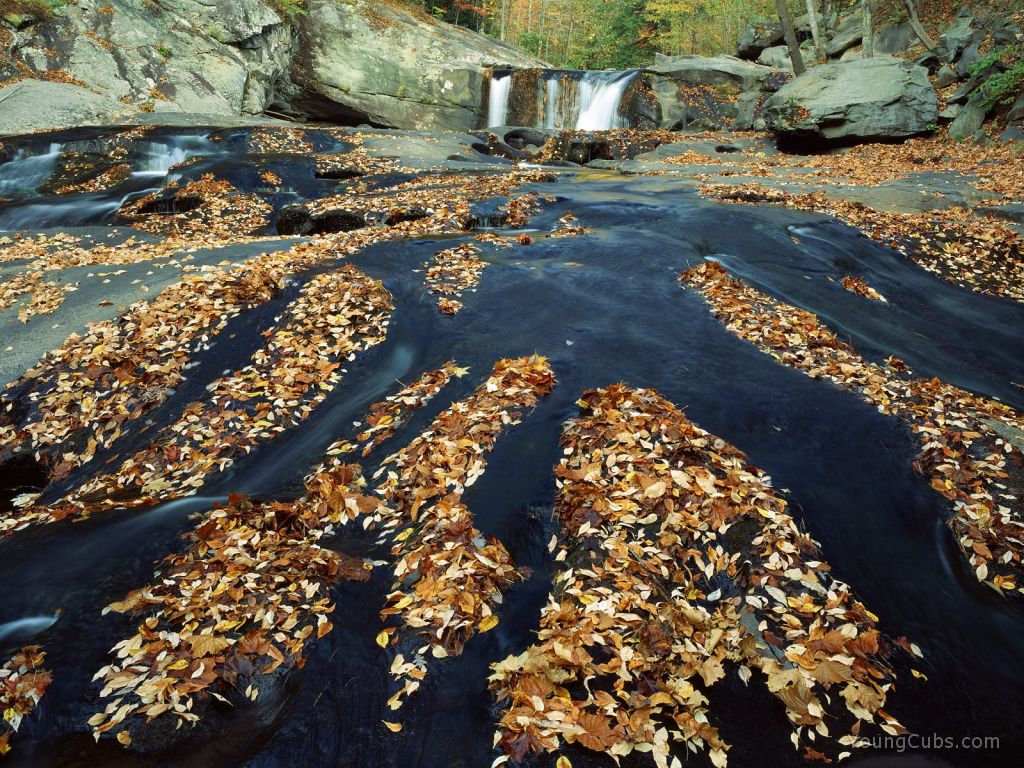 Tellico River, Cherokee National Forest, Tennessee